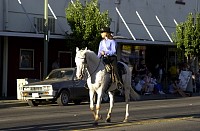 DSC_0035.jpg