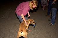 DSC_0206.jpg