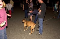 DSC_0207.jpg