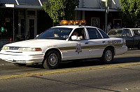 DSC_9930.jpg