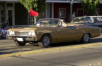 DSC_9946.jpg