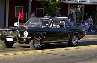DSC_9974.jpg