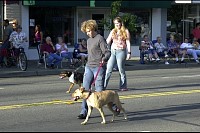 DSC_9285.jpg