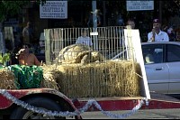 DSC_9520.jpg