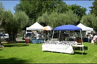 DSC_9641.jpg