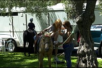 DSC_9648.jpg