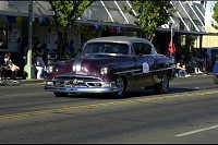 DSC_1233.jpg