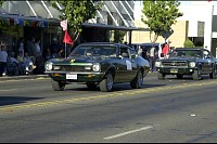 DSC_1241.jpg