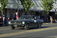 DSC_1245.jpg