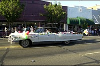 DSC_1311.jpg