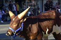 DSC_1382.jpg