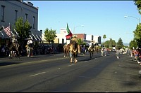 DSC_1399.jpg