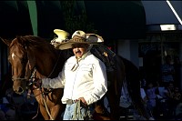 DSC_1404.jpg