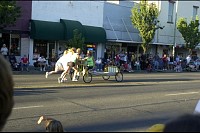 DSC_1420.jpg