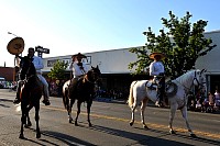 DSC_6900.JPG