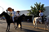 DSC_6901.JPG