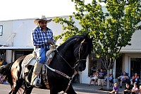 DSC_6926.JPG