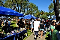 DSC_6989.jpg