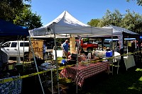 DSC_6999.jpg
