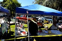 DSC_7013.jpg