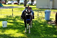 DSC_7161.jpg