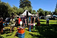 DSC_7173.jpg