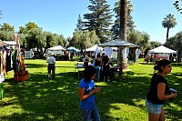 DSC_7176.jpg