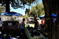 DSC_7208.jpg