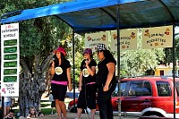 DSC_7282.jpg