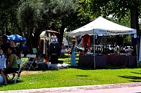 DSC_7323.jpg