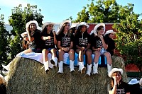 DSC_2742.jpg