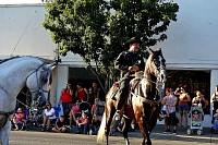 DSC_3116.jpg