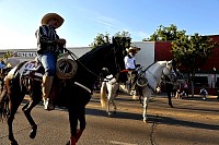 DSC_3122.jpg