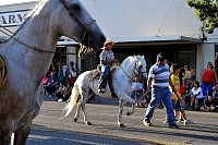DSC_3152.jpg