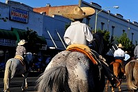 DSC_3169.jpg