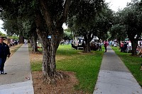 DSC_3564.jpg