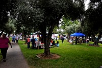 DSC_3569.jpg