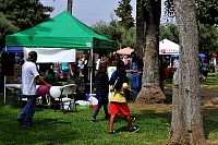 DSC_3780.jpg