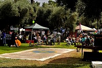 DSC_3916.jpg