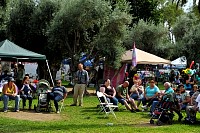 DSC_3930.jpg