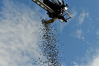 DSC_3952.jpg
