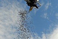 DSC_3954.jpg