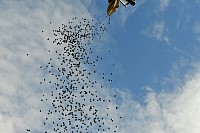 DSC_3955.jpg