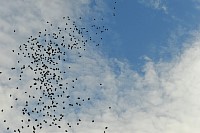 DSC_3957.jpg