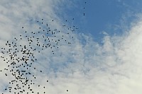DSC_3958.jpg