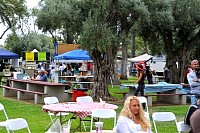 DSC_4431.jpg