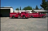 P0000450.jpg