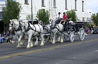 DSC_4970.jpg