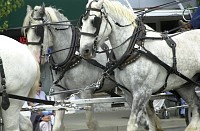 DSC_4971.jpg
