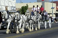 DSC_1047.jpg